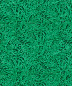Тканини STYLELIBRARY NOOTKA 333025 | Галерея Декору